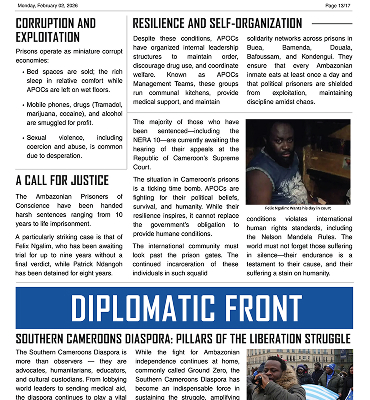 Southern Cameroons Diaspora: Pillars of the Liberation Struggle